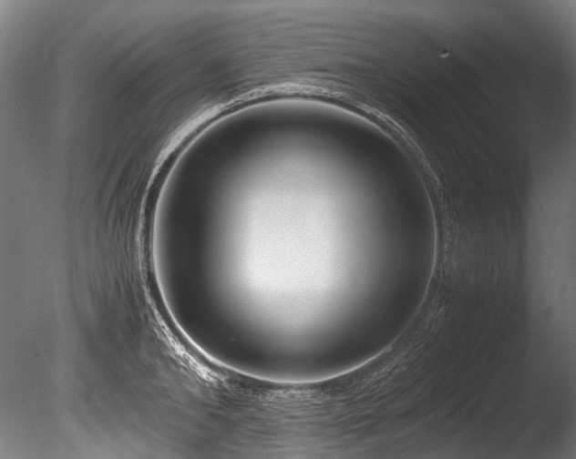 X0000086010902200703231209