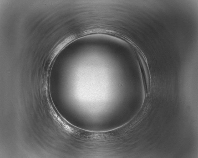X0000086010906200703231208
