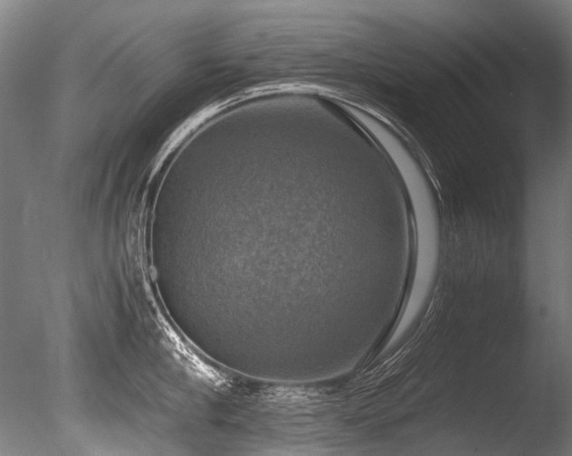X0000086010910200703231208