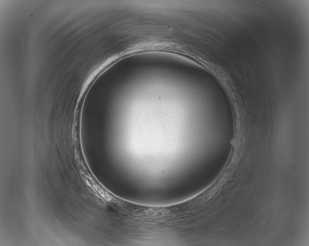 X0000086010912200703231208