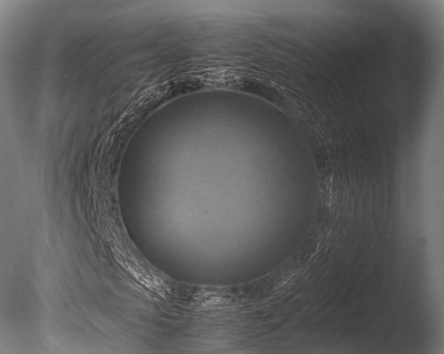 X0000086010913200703231208