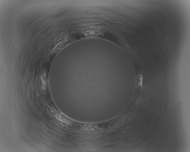 X0000086010915200703231208