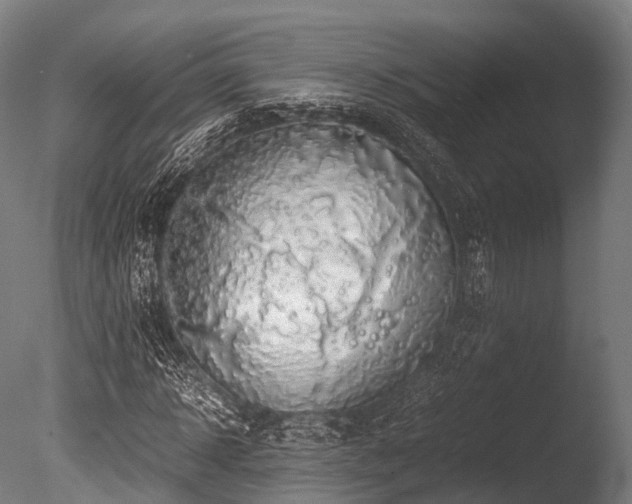 X0000086010918200703231208