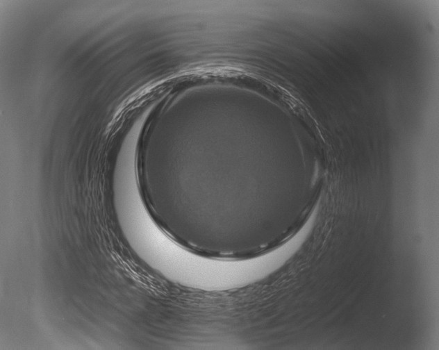 X0000086010920200703231208