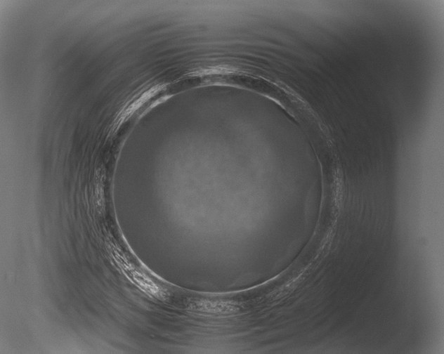 X0000086010921200703231208