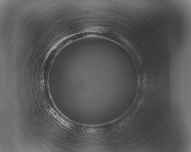 X0000086010923200703231208