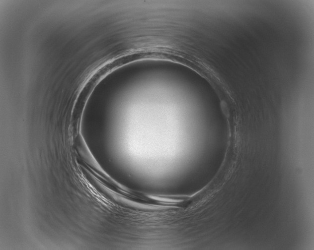 X0000086010924200703231208
