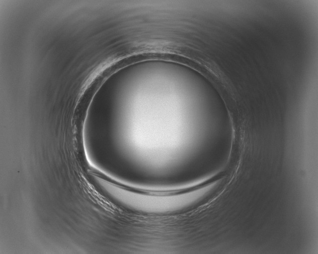 X0000086010926200703231208