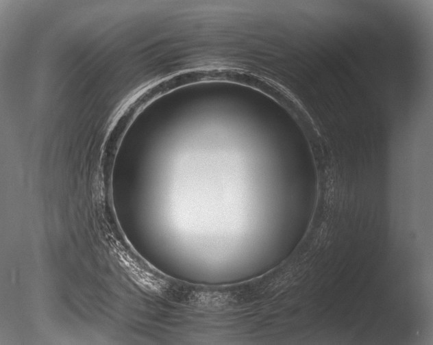 X0000086010927200703231208