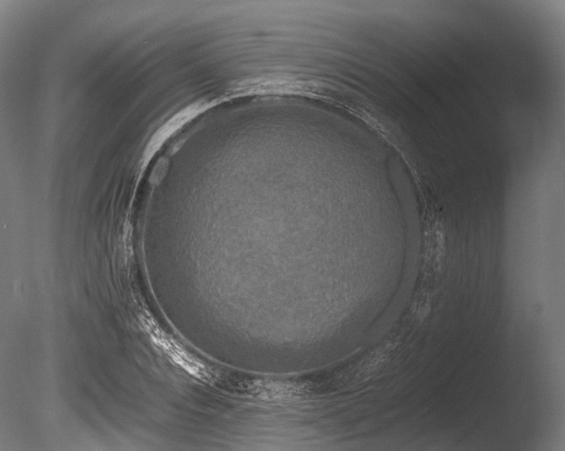 X0000086010928200703231208