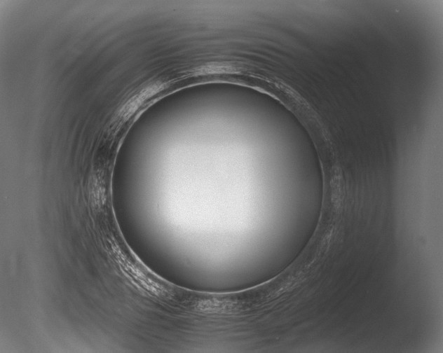 X0000086010929200703231208