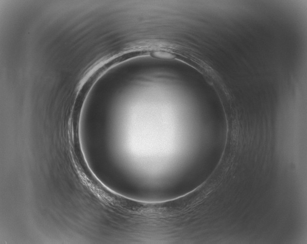 X0000086010936200703231208