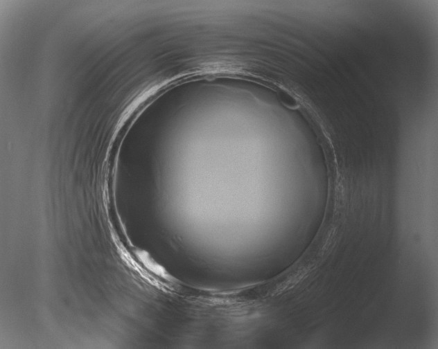 X0000086010941200703231208