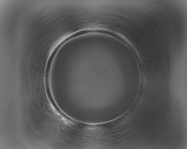 X0000086010943200703231208