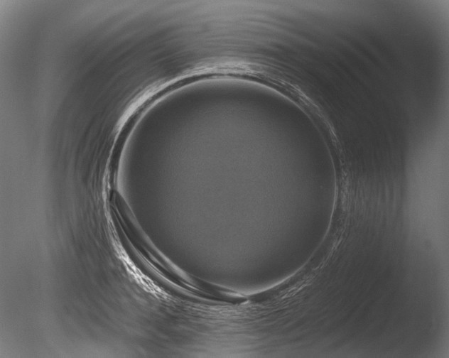 X0000086010944200703231208