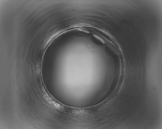 X0000086010945200703231208