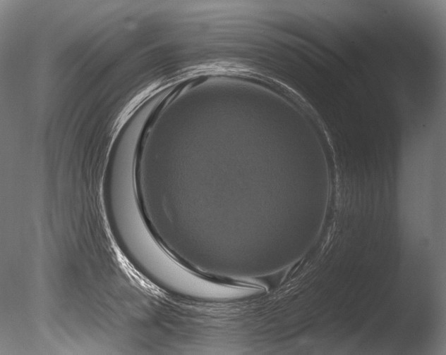 X0000086010946200703231208