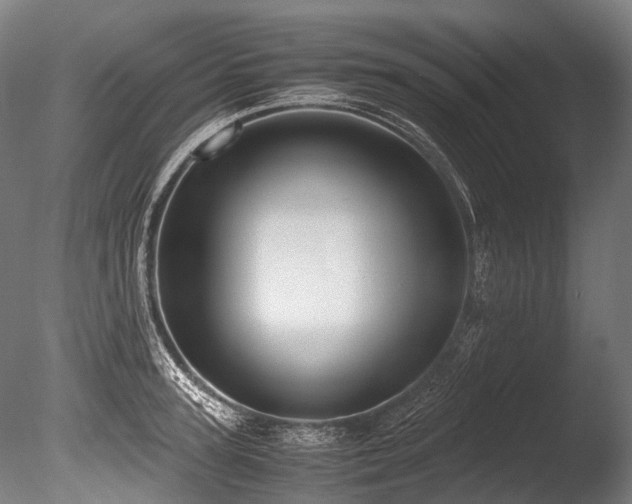 X0000086010947200703231208