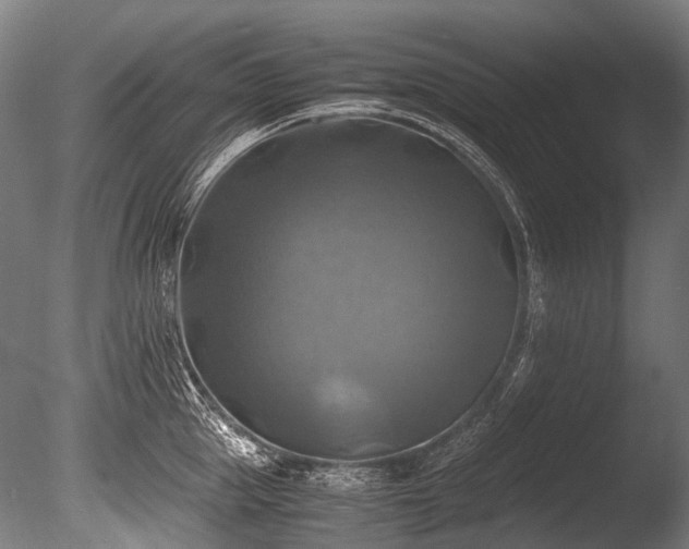 X0000086010953200703231208