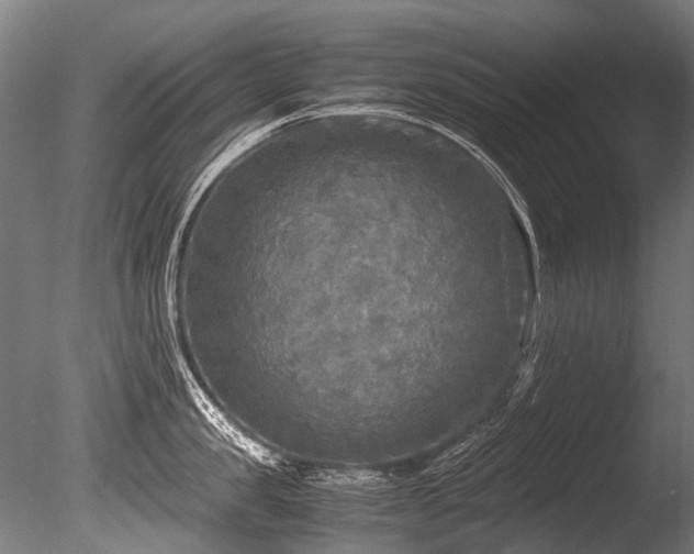 X0000086010957200703231208