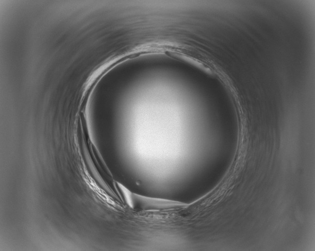 X0000086010960200703231208