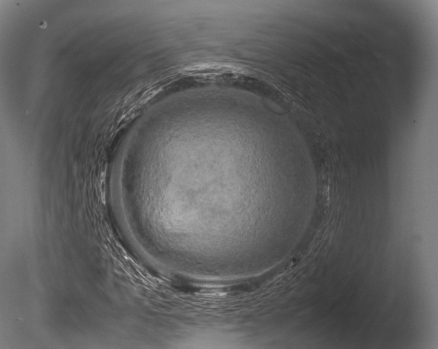 X0000086010965200703231207