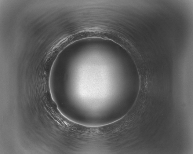 X0000086010968200703231207