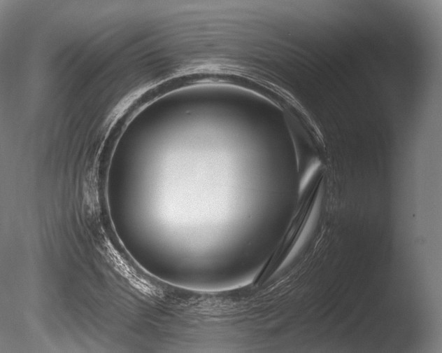 X0000086010972200703231207
