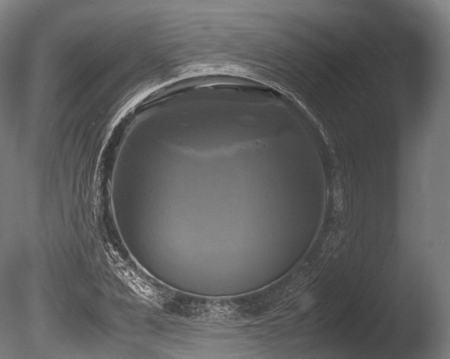 X0000086010975200703231207
