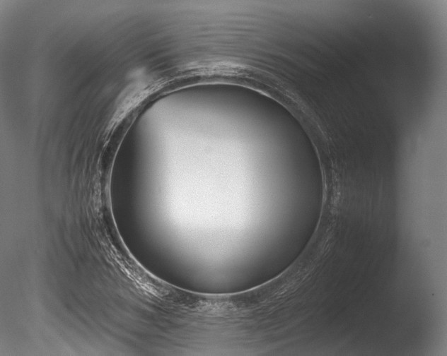 X0000086010978200703231207