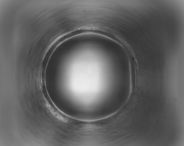 X0000086010984200703231207