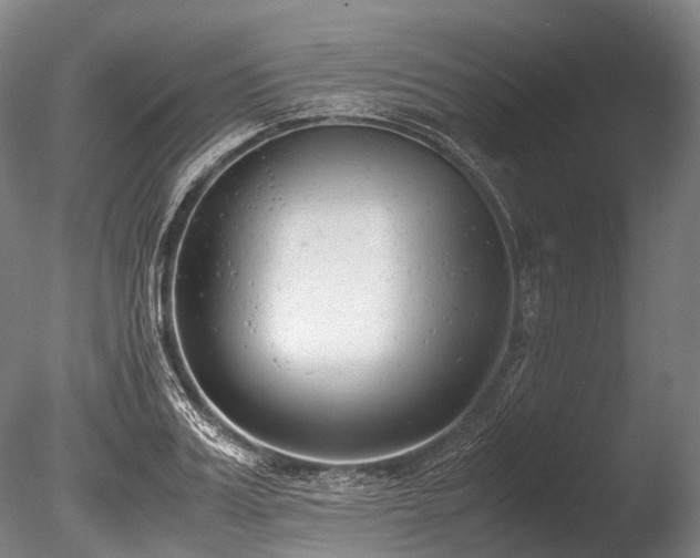 X0000086010987200703231207