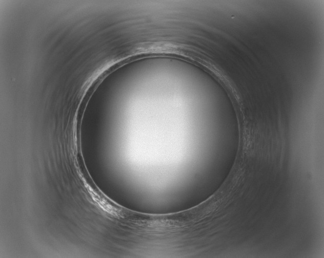 X0000086010988200703231207