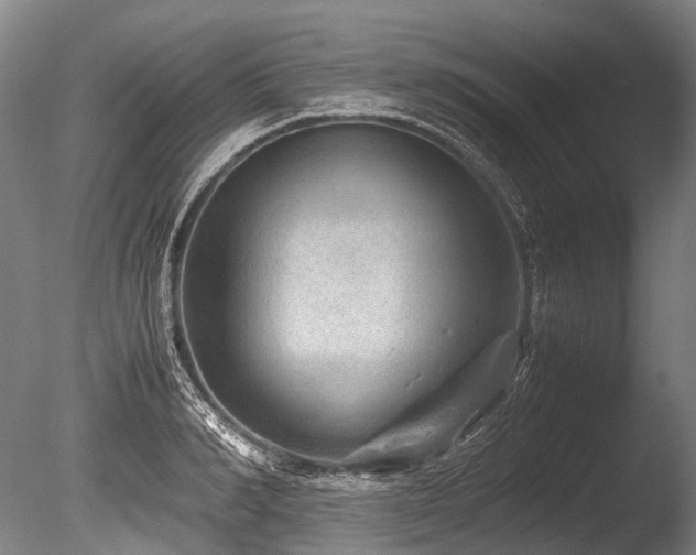 X0000086010990200703231207