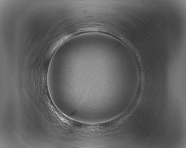 X0000086010993200703231207