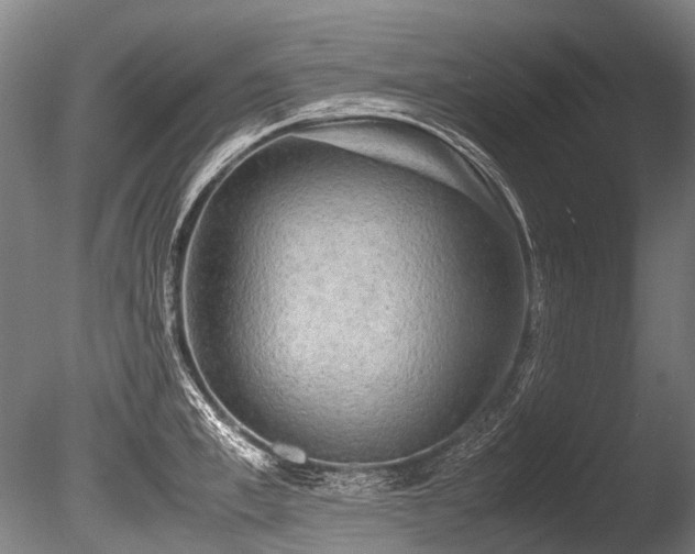 X0000086010997200703231207