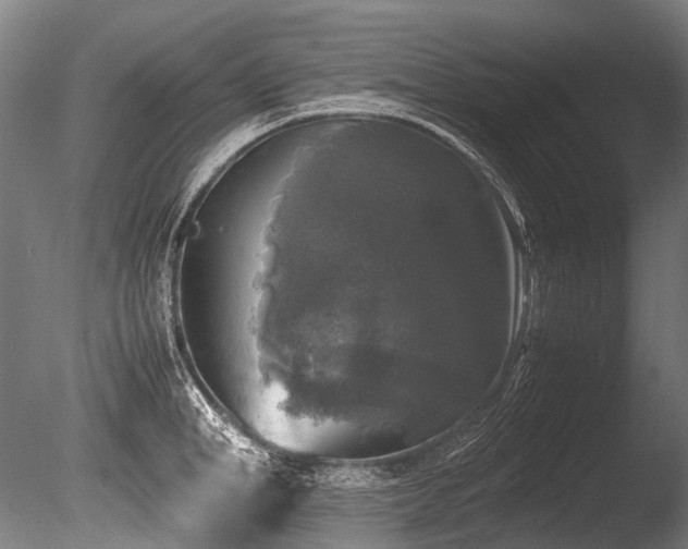 X0000086010998200703231207