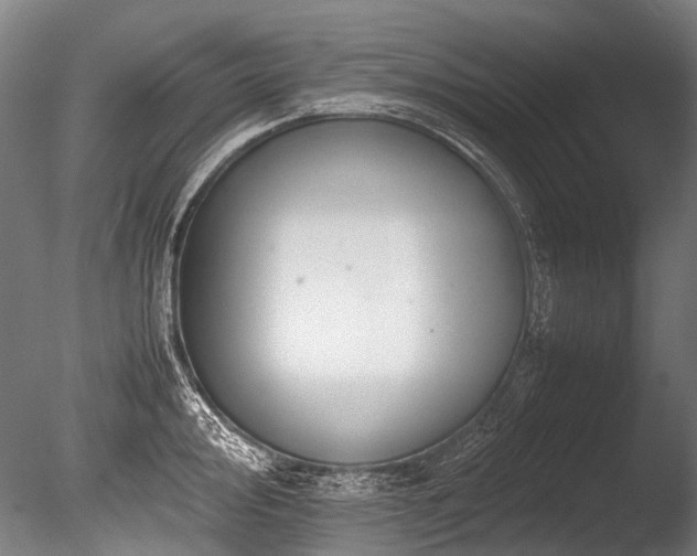 X0000086011000200703231207
