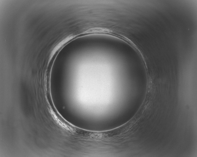 X0000086011003200703231207