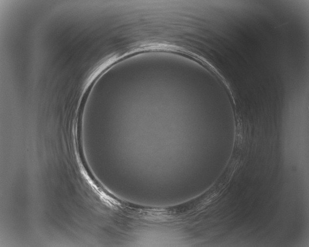 X0000086011007200703231207