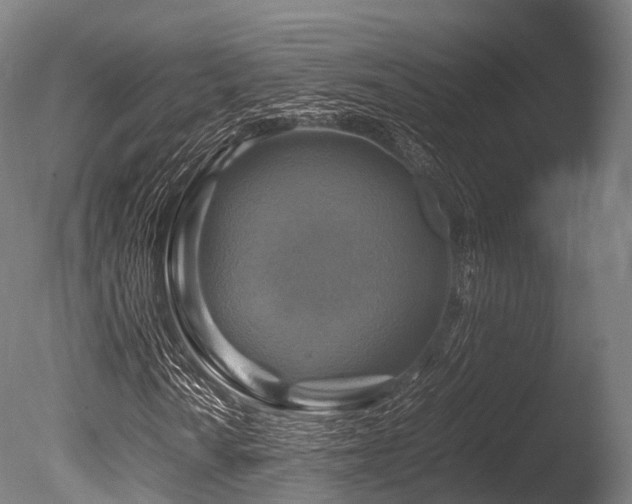X0000086011010200703231206