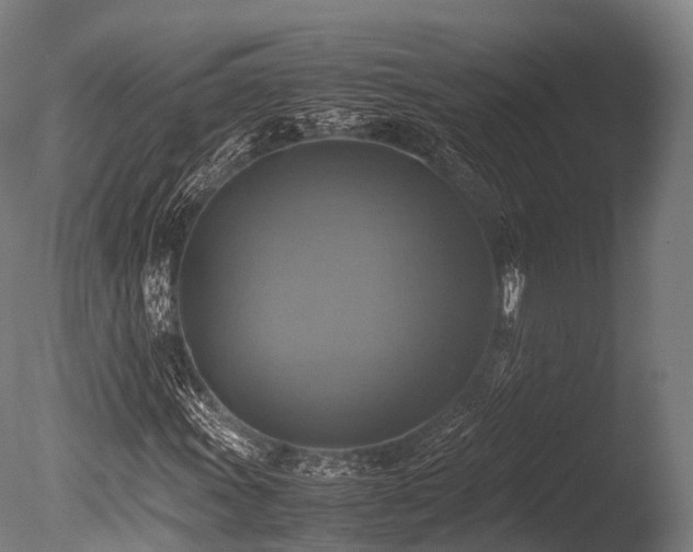 X0000086011011200703231206