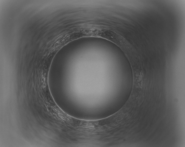 X0000086011013200703231206