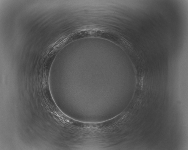 X0000086011014200703231206