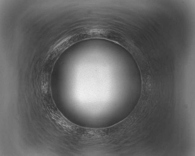 X0000086011015200703231206