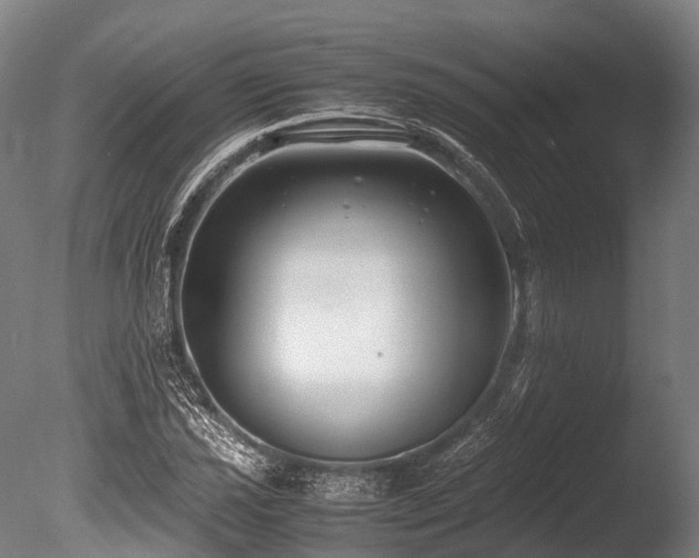 X0000086011021200703231206