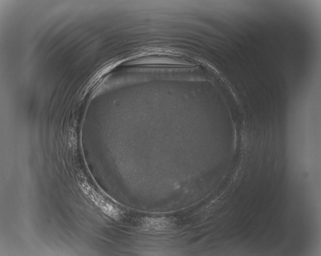 X0000086011025200703231206