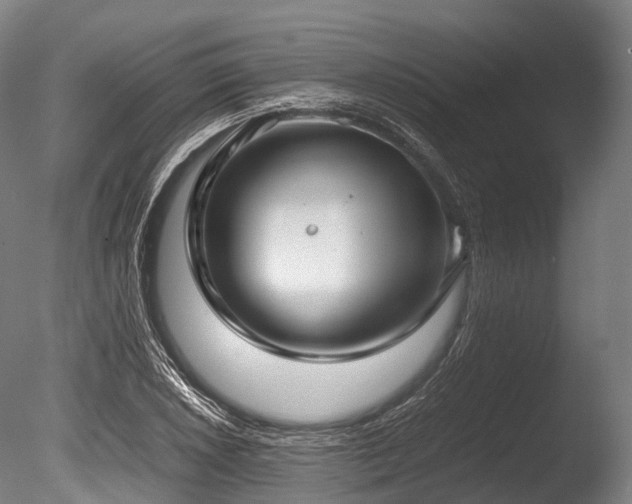 X0000086011026200703231206