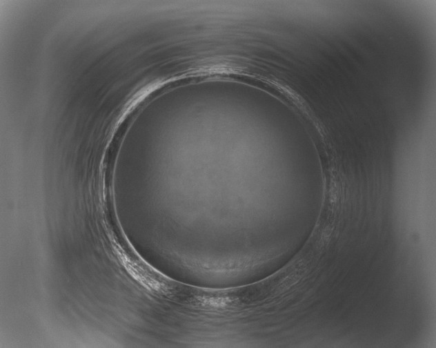 X0000086011031200703231206
