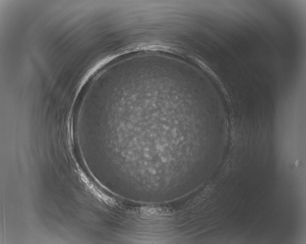 X0000086011032200703231206